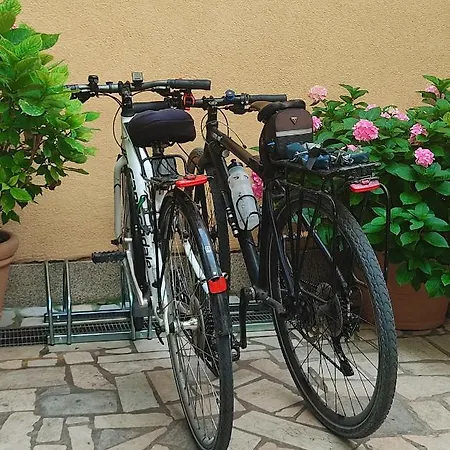 Emma Apartman *